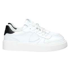 Baskets basses