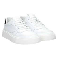Baskets basses