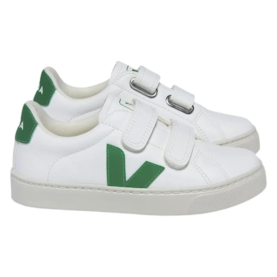 Baskets V-90