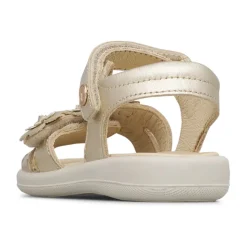 Brahma Sandal
