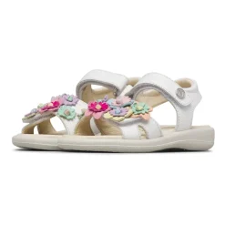 Brahma Sandal