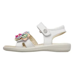 Brahma Sandal