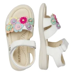 Brahma Sandal