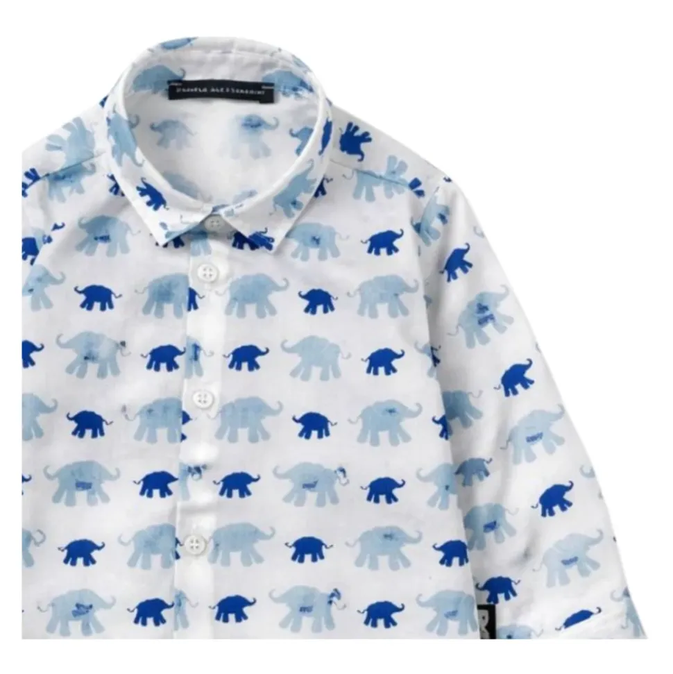 Chemise