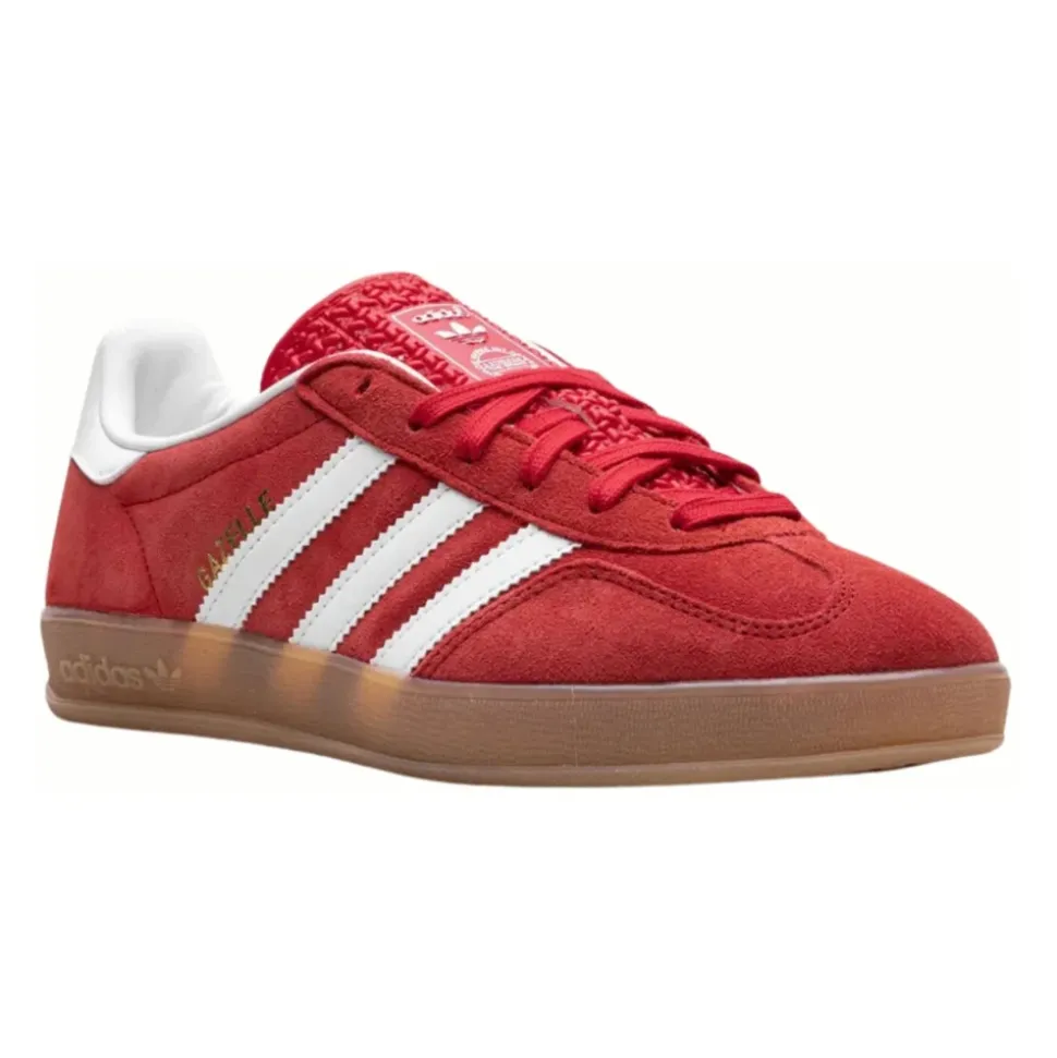 Gazelle Indoor