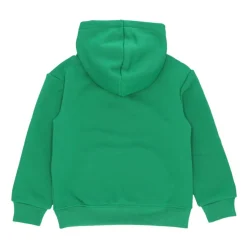 Hoodie Vert Lucky avec Logo Jumpman