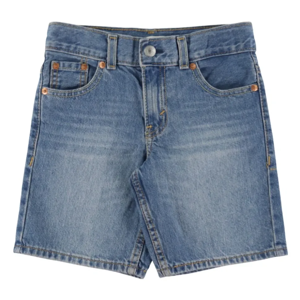 LVB Skate Shorts