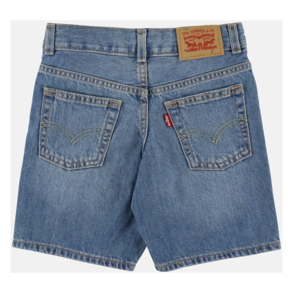 LVB Skate Shorts