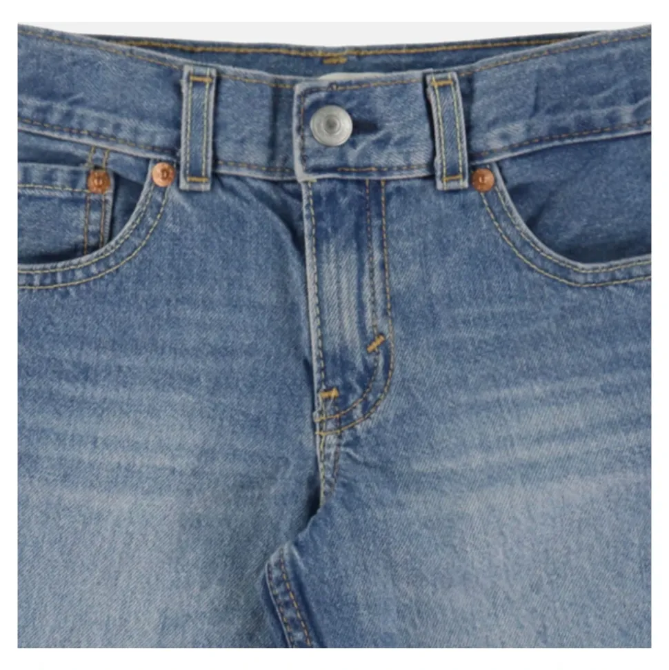 LVB Skate Shorts