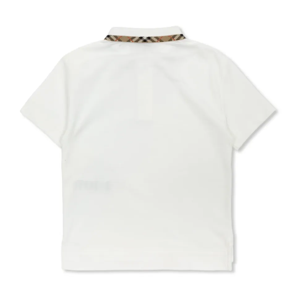 Polo EKD