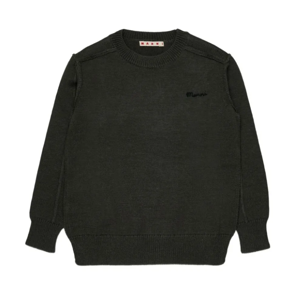 Pull brodé