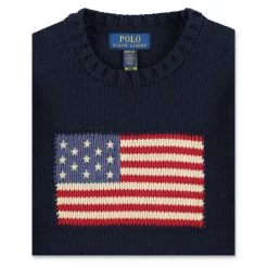 Pull Drapeau Iconique