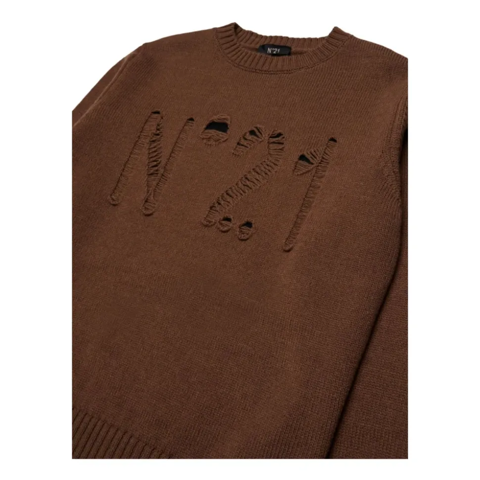 Pull N°21