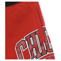 Short de Basketball Courtside 75