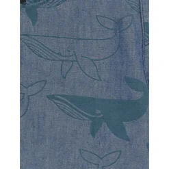 Shorts Bermuda Baleine