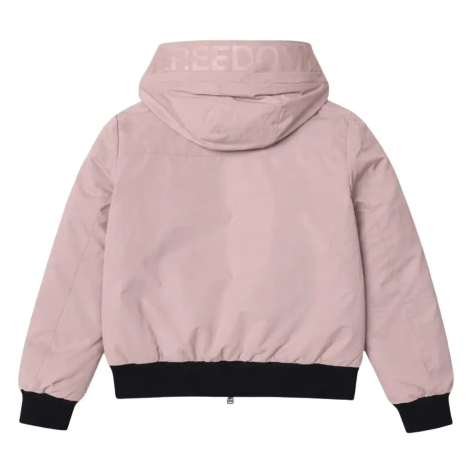 Softshell Jacket