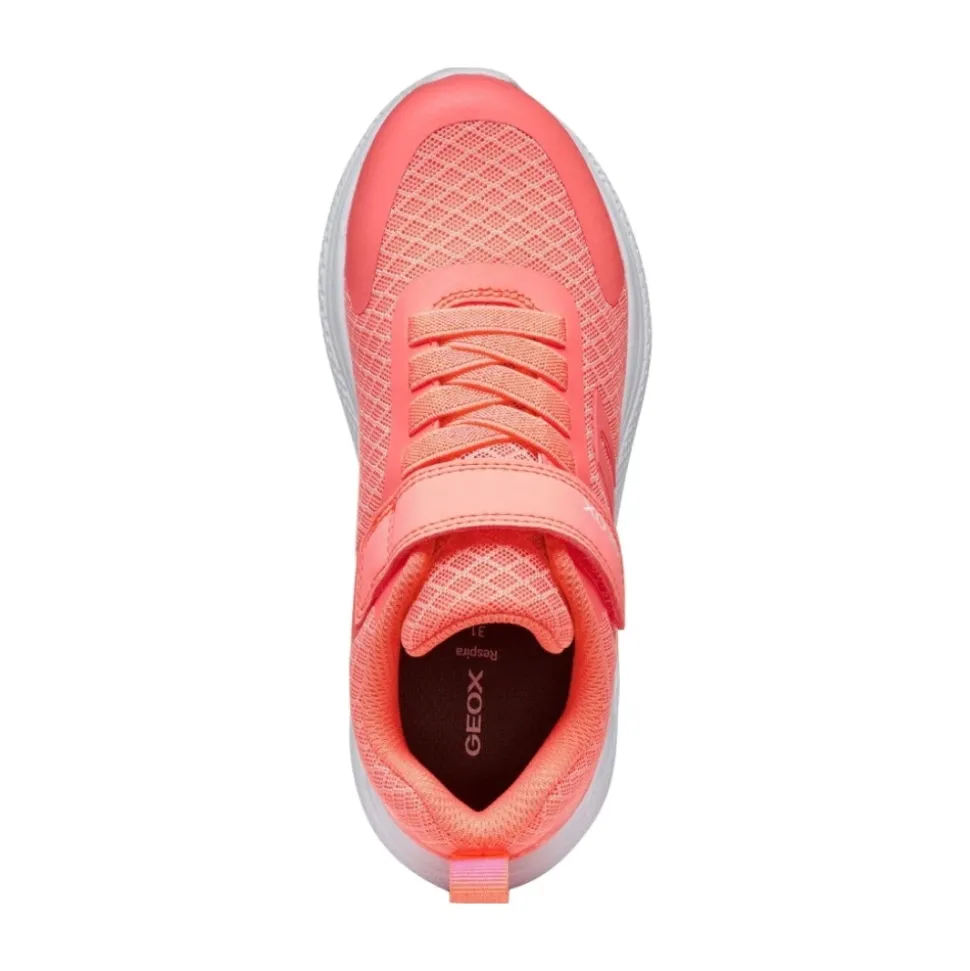 Sprintye Sneakers