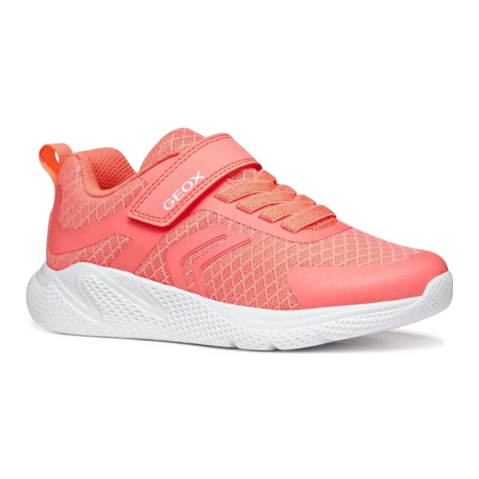 Sprintye Sneakers