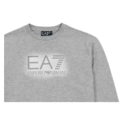 Sweat à capuche