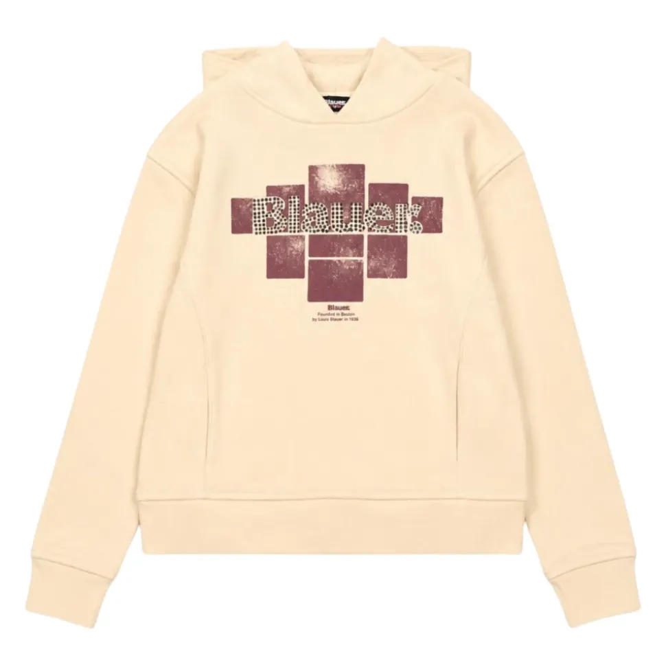 Sweat à capuche