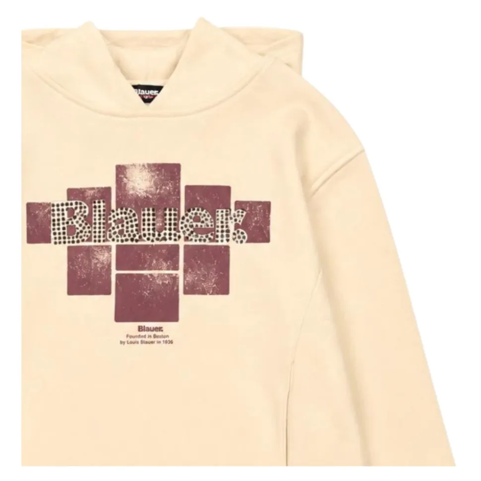 Sweat à capuche