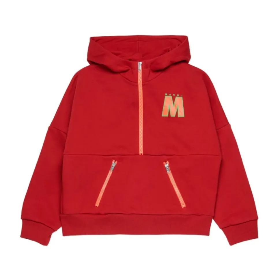 Sweat à capuche