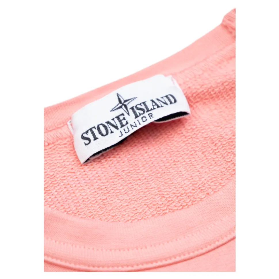 Sweat-shirt avec écusson logo