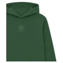 Sweatshirt à capuche