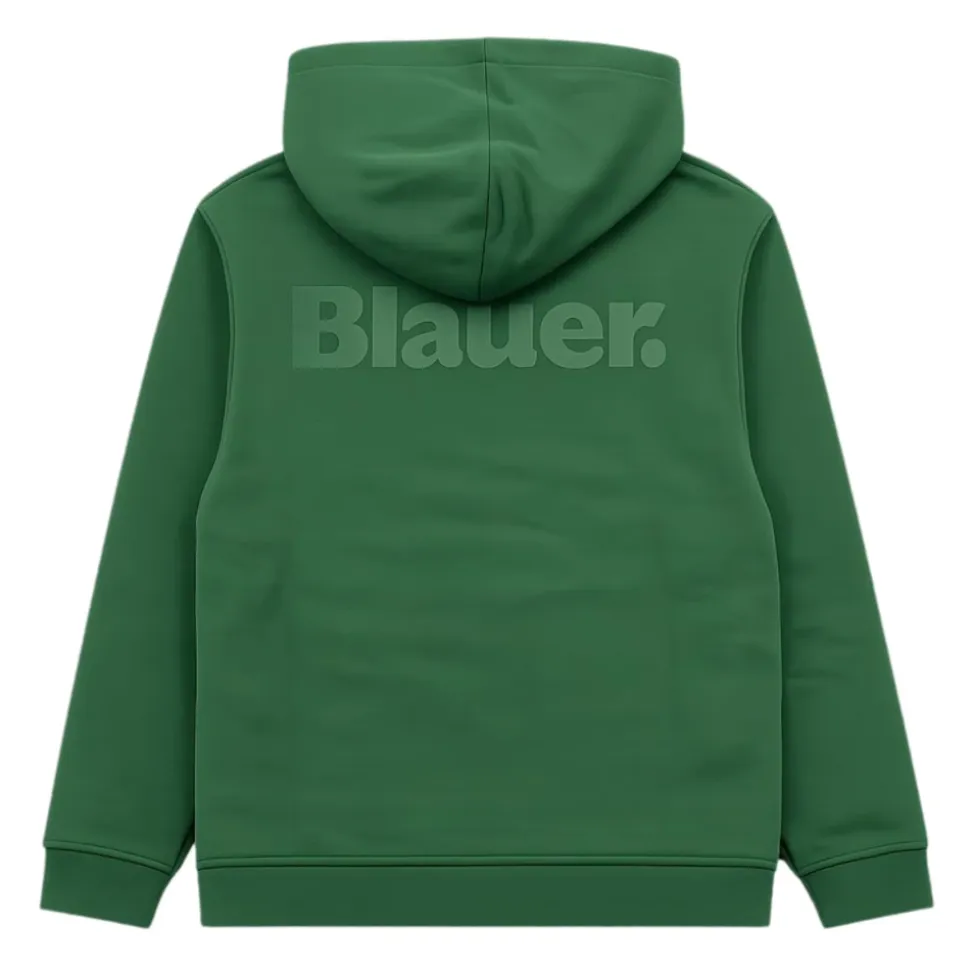 Sweatshirt à capuche