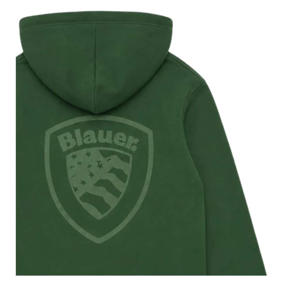 Sweatshirt à capuche avec logo brodé