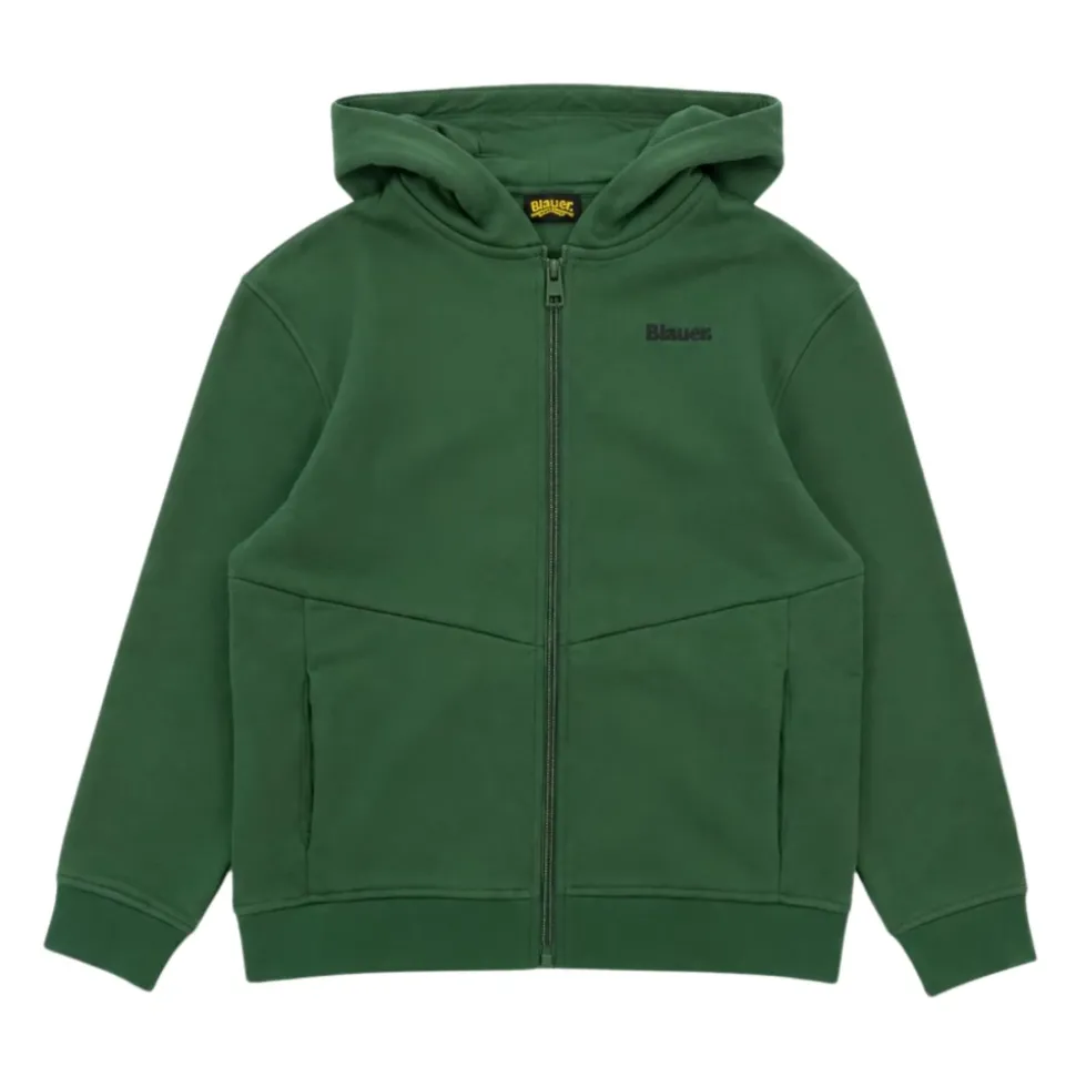 Sweatshirt à capuche avec logo brodé
