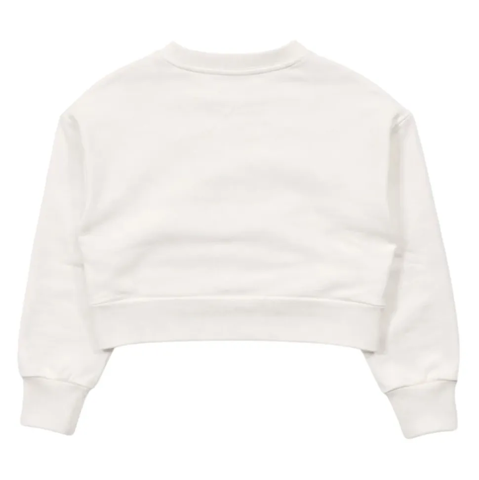 Sweatshirt Court