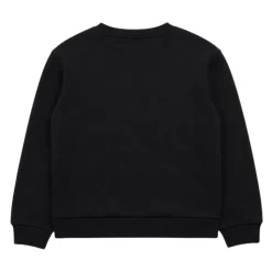 Sweatshirts Blauer