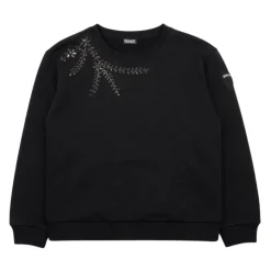Sweatshirts Blauer