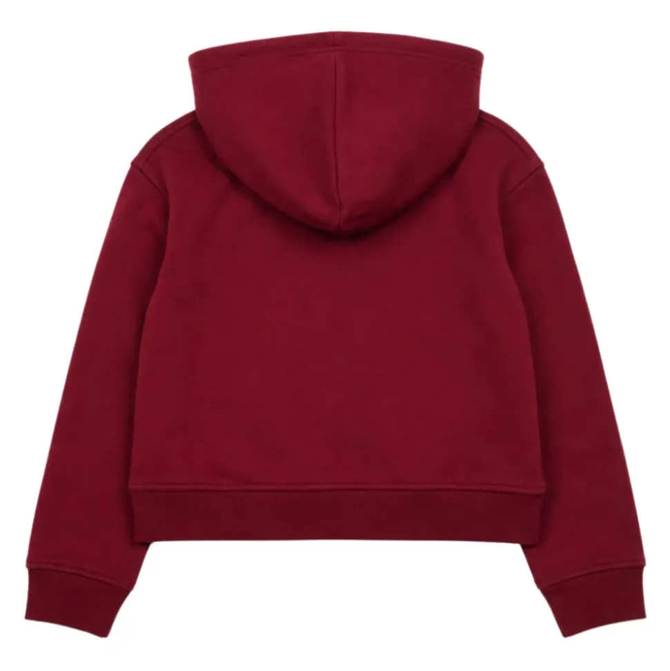 Sweatshirts Blauer