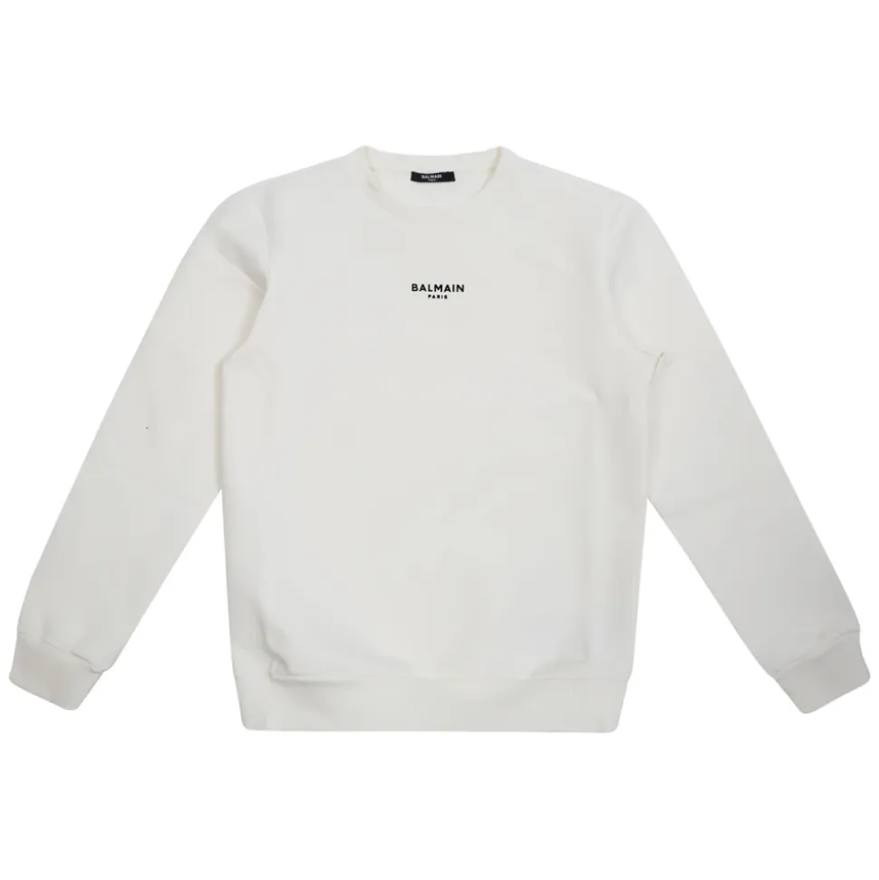 Sweatshirt with mini logo
