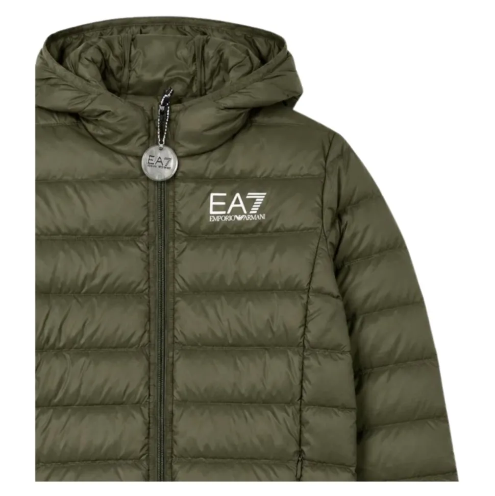 Winterjackets
