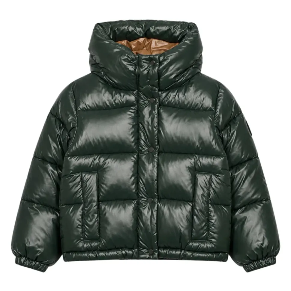 Winterjackets